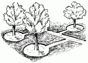 Ирина Скрипко - Системы полива