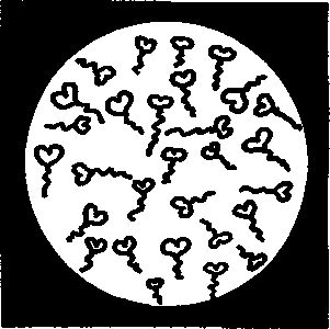 Дмитрий Циликин - Вопрос ниже пояса. Он