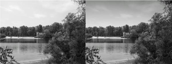 Сергей Бондаренко, Марина Бондаренко - Photoshop. Лучшие фильтры