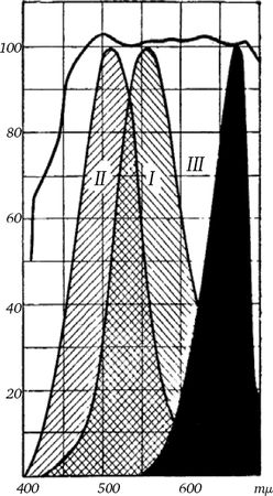 Сергей Вавилов - Глаз и Солнце