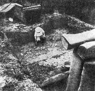 Валерий Гуляев - Идолы прячутся в джунглях