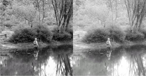 Сергей Бондаренко, Марина Бондаренко - Photoshop. Лучшие фильтры