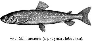 Жизнь и ловля пресноводных рыб. Часть 1