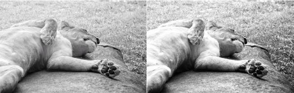 Сергей Бондаренко, Марина Бондаренко - Photoshop. Лучшие фильтры