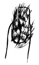 Алеся Гриб, Наталья Шешко - Маникюр и педикюр