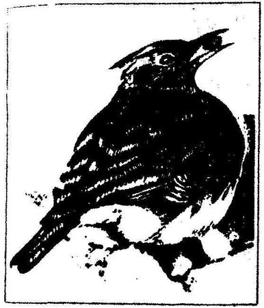 Леонид Семаго - Гнездо над крыльцом