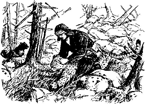 Максим Зверев - Ущелье барсов