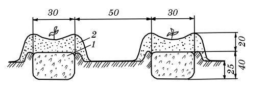 С. Калюжный - Парники и теплицы. Строим и выращиваем