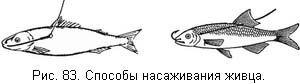 Жизнь и ловля пресноводных рыб. Часть 1