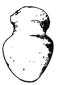 Ганс Дамм - Канака - люди южных морей