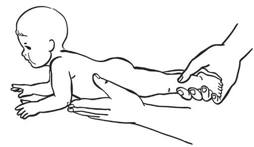 Елена Архипова - Ранняя диагностика и коррекция проблем развития. Первый год...