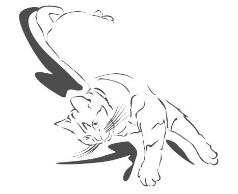 Джеймс Боуэн - Подарок от кота Боба. Как уличный кот помог человеку полюбить...