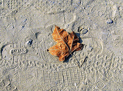 Любовь Тильман - Случайные мысли