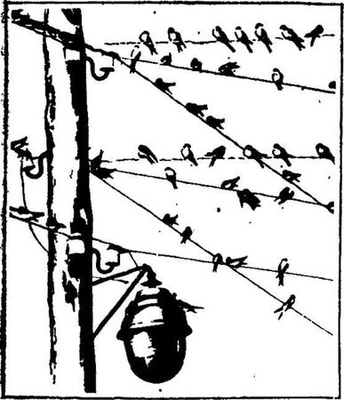 Леонид Семаго - Гнездо над крыльцом