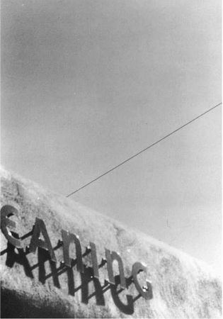 Чогьям Ринпоче - Истинное восприятие. Путь дхармического искусства