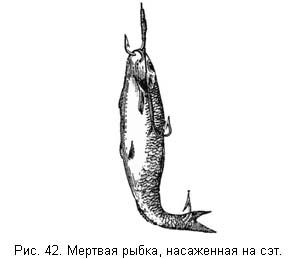 Л. Сабанеев - Жизнь и ловля пресноводных рыб. Часть 1