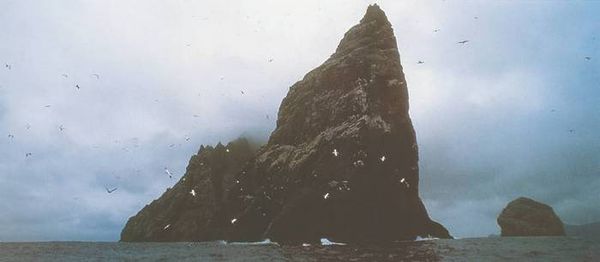 Светлана Хворостухина, Екатерина Горбачева - Географические открытия