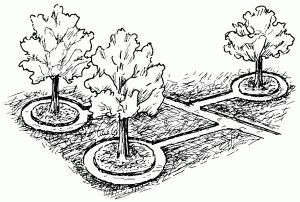 Ирина Скрипко - Системы полива