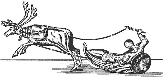 Роберто Боси - Лапландцы. Охотники за северными оленями