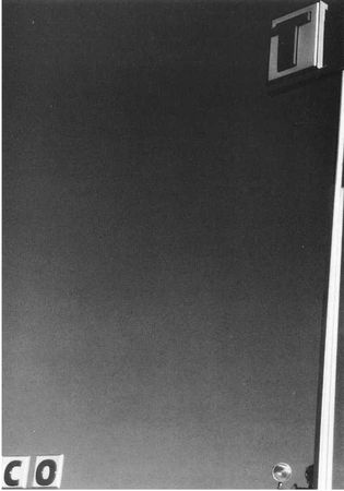 Чогьям Ринпоче - Истинное восприятие. Путь дхармического искусства