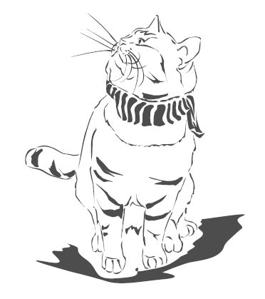 Джеймс Боуэн - Подарок от кота Боба. Как уличный кот помог человеку полюбить...