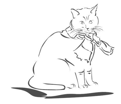 Джеймс Боуэн - Подарок от кота Боба. Как уличный кот помог человеку полюбить...