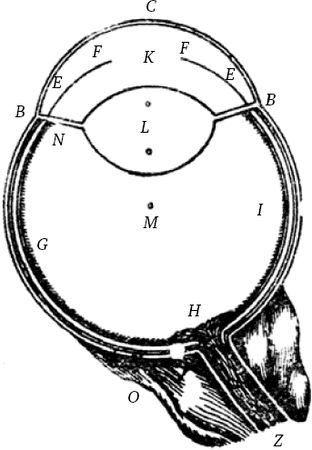 Сергей Вавилов - Глаз и Солнце