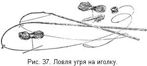 Жизнь и ловля пресноводных рыб. Часть 1