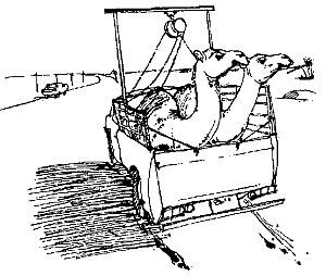 Брюс Ингхэм, Дж. Файад - Арабские страны: обычаи и этикет