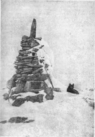 Николай Алексеев - Зимовка на "Торосе"