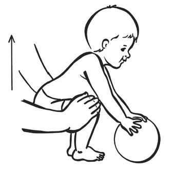 Елена Архипова - Ранняя диагностика и коррекция проблем развития. Первый год...