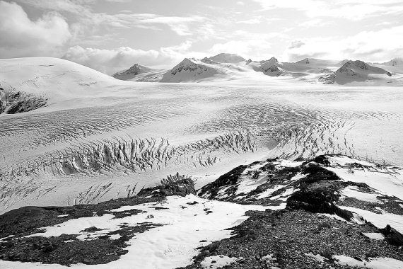 Сергей Тюленев - Улыбка Пеликена