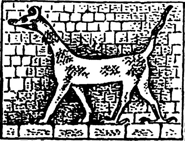 Людмила Багрова - Я познаю мир. Страны и народы