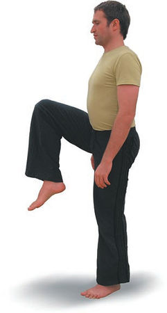 Андрей Липень - Йога. Большая книга лучших асан