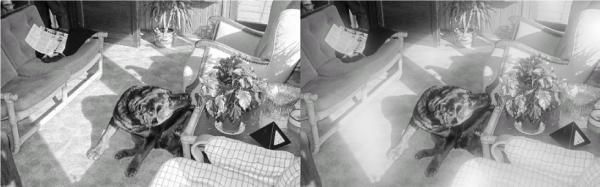 Сергей Бондаренко, Марина Бондаренко - Photoshop. Лучшие фильтры