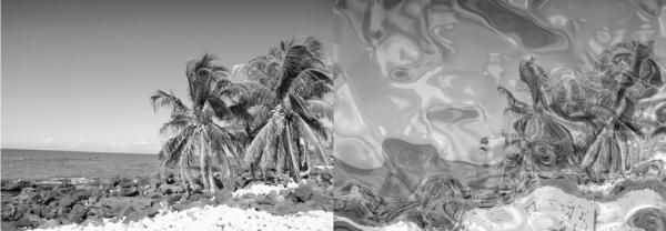 Сергей Бондаренко, Марина Бондаренко - Photoshop. Лучшие фильтры