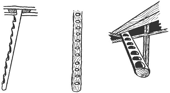 Роберто Боси - Лапландцы. Охотники за северными оленями