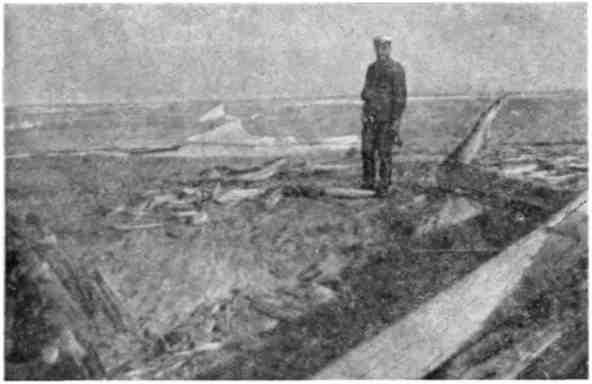 Николай Алексеев - Зимовка на "Торосе"