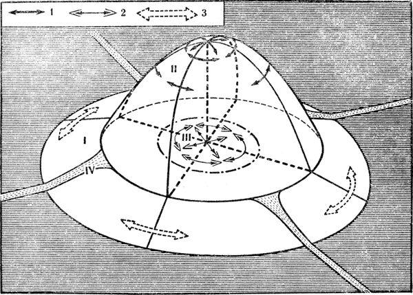 Анатолий Захаров - Муравей, семья, колония