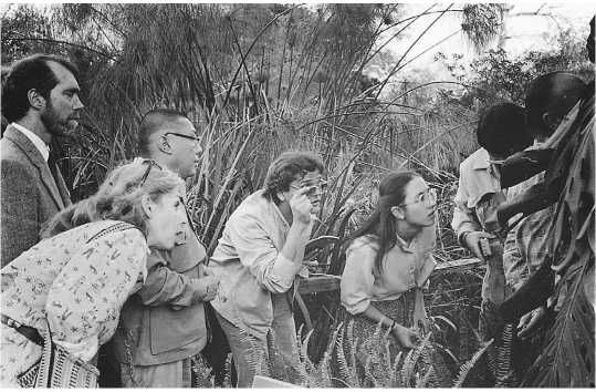 Чогьям Ринпоче - Истинное восприятие. Путь дхармического искусства