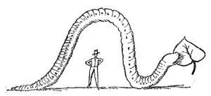 Самые обычные животные