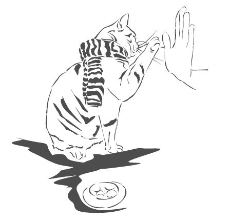 Джеймс Боуэн - Подарок от кота Боба. Как уличный кот помог человеку полюбить...