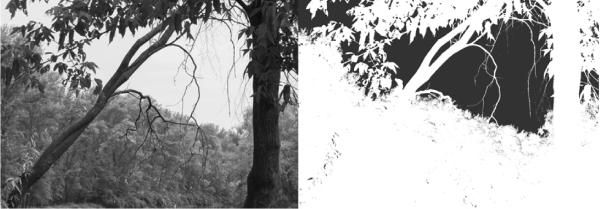 Сергей Бондаренко, Марина Бондаренко - Photoshop. Лучшие фильтры