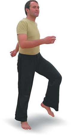 Андрей Липень - Йога. Большая книга лучших асан