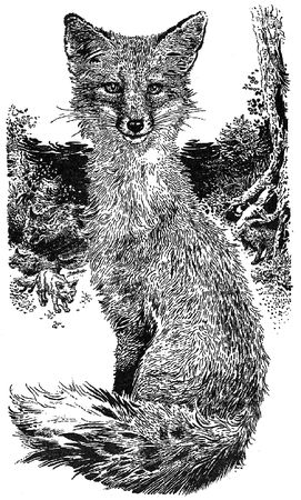 Гарри Килворт - Лунный зверь