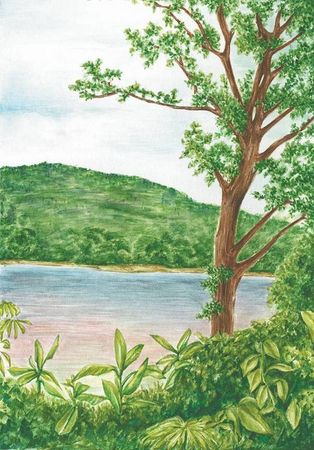 Светлана Хворостухина, Екатерина Горбачева - Географические открытия