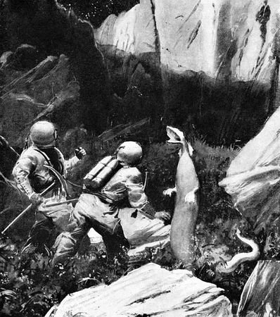 Отто Гайль - Лунный перелет