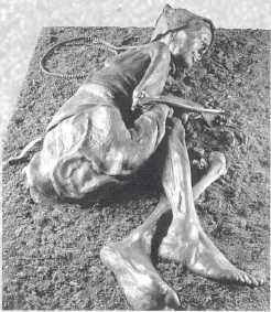 Владимир Миронов - Древние цивилизации