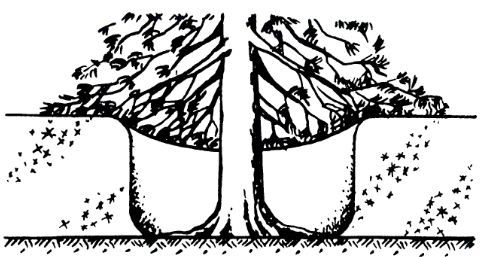 Андрей Ильичев - Школа выживания. Зимняя аварийная ситуация