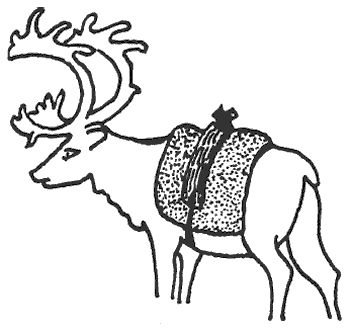 Роберто Боси - Лапландцы. Охотники за северными оленями